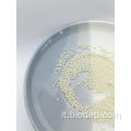 Lactobacillus rhamnosus di alta qualità